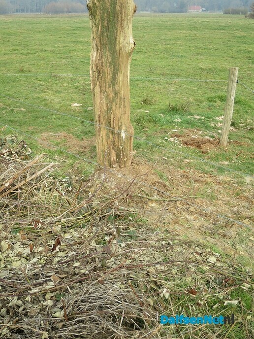 Met dank an L.O. stiet Uiverpoal weer rechop - Foto: Wim