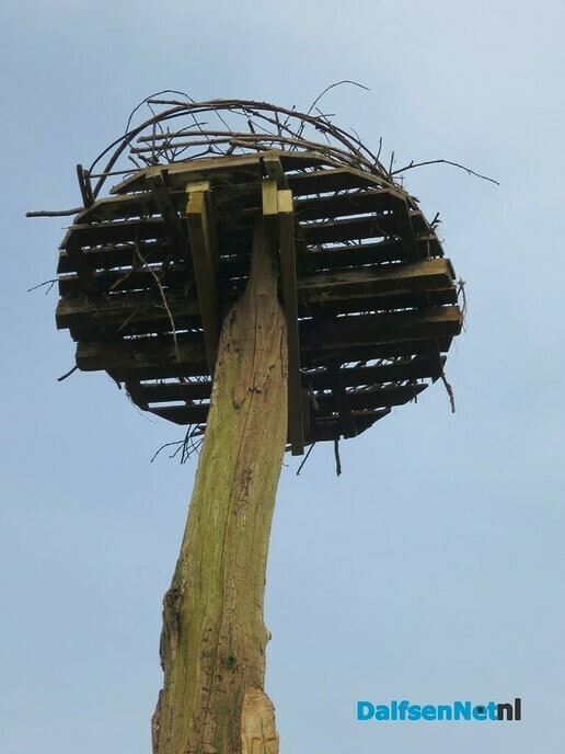 Met dank an L.O. stiet Uiverpoal weer rechop - Foto: Wim