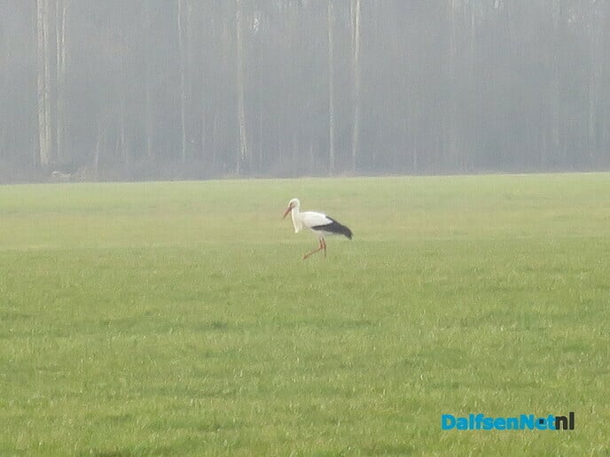 Met dank an L.O. stiet Uiverpoal weer rechop - Foto: Wim