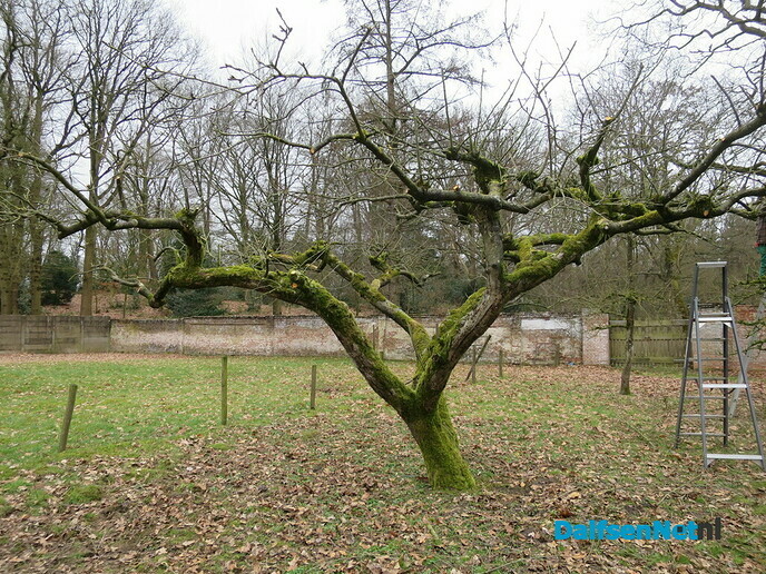 Groot onderhoud Landgoed Hoonhorst - Foto: Wim