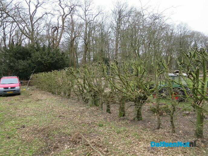 Groot onderhoud Landgoed Hoonhorst - Foto: Wim