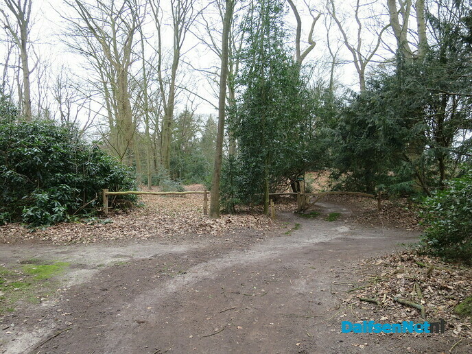 Groot onderhoud Landgoed Hoonhorst - Foto: Wim