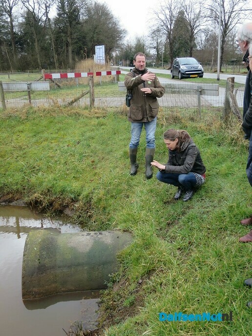 Ottersporen in de Emmertochtsloot bij Hoonhorst - Foto: Wim