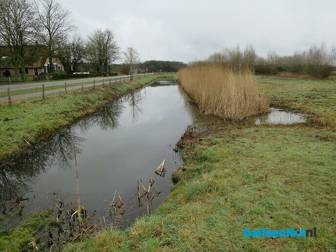 Ottersporen in de Emmertochtsloot bij Hoonhorst - Foto: Wim
