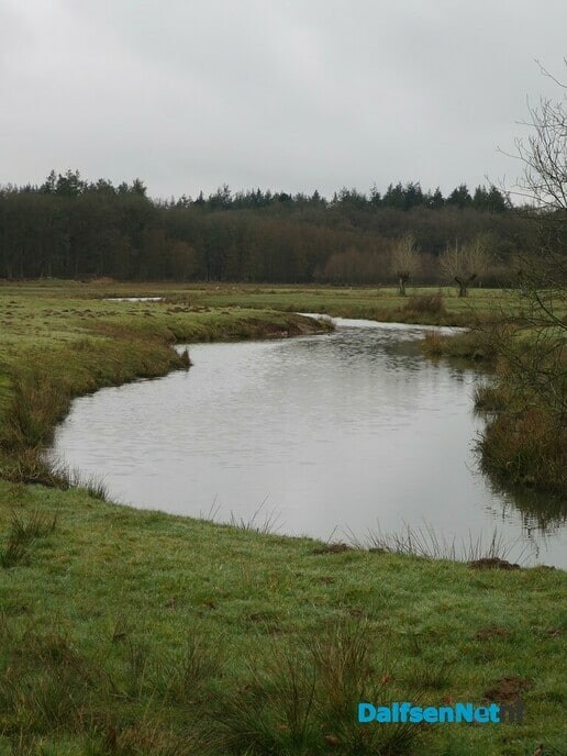 Ottersporen in de Emmertochtsloot bij Hoonhorst - Foto: Wim