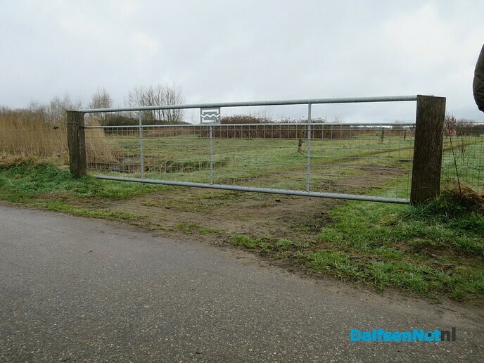 Otters kunnen in Hoonhorst weer veilig oversteken - Foto: Wim