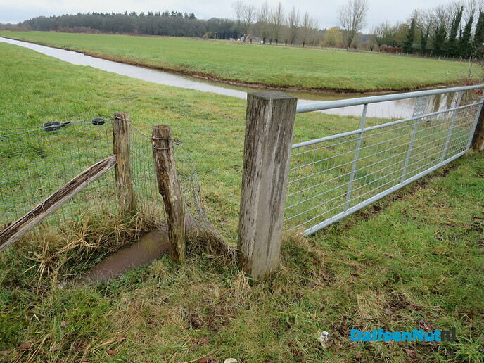 Ottersporen in de Emmertochtsloot bij Hoonhorst - Foto: Wim