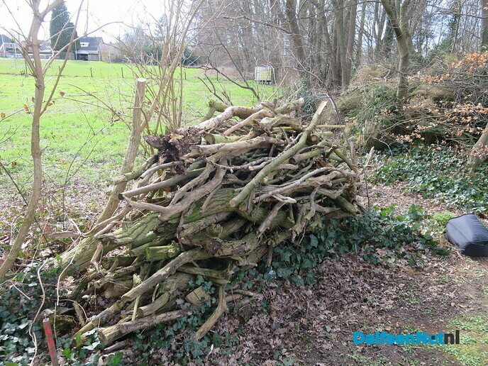Beeldopname opbouw broeihoop voor ringslangen Hoonhorst - Foto: Wim
