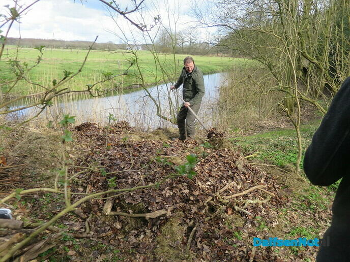Beeldopname opbouw broeihoop voor ringslangen Hoonhorst - Foto: Wim