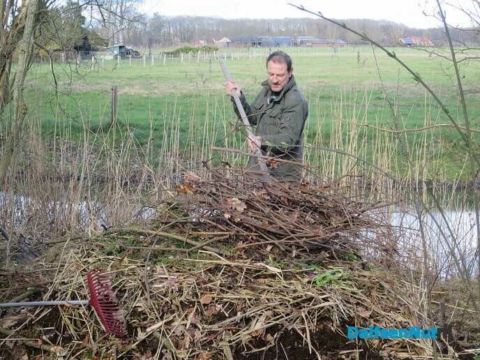 Beeldopname opbouw broeihoop voor ringslangen Hoonhorst - Foto: Wim