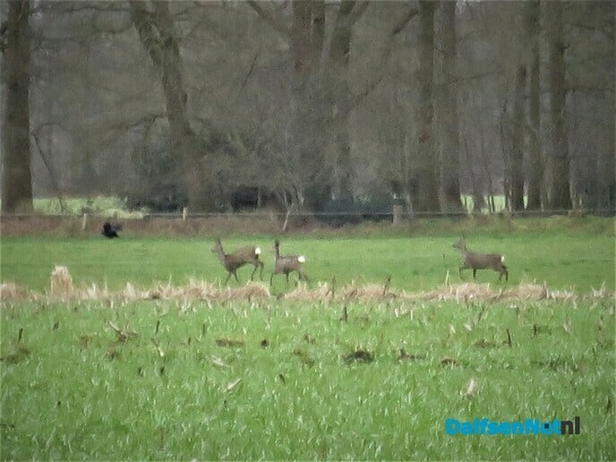 De natuur blijft altijd heel bijzonder - Foto: Wim