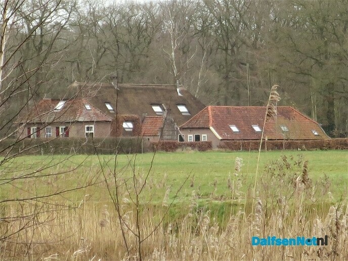 De natuur blijft altijd heel bijzonder - Foto: Wim