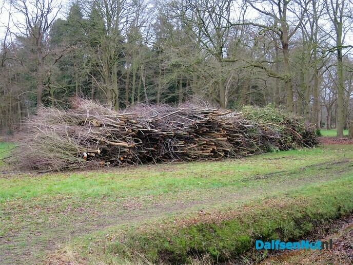 De natuur blijft altijd heel bijzonder - Foto: Wim