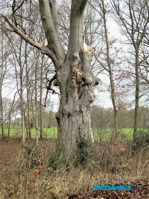 De natuur blijft altijd heel bijzonder - Foto: Wim