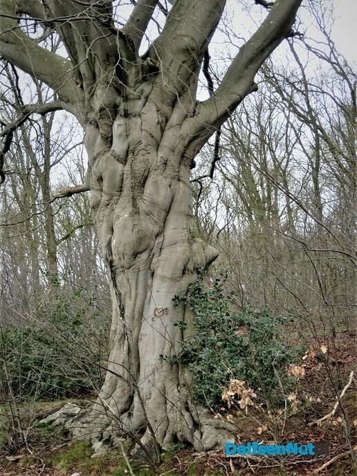 De natuur blijft altijd heel bijzonder - Foto: Wim