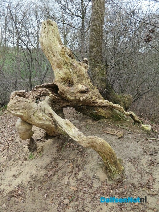 Het Sterrenbos en omgeving, meest gevarieerde natuur - Foto: Wim