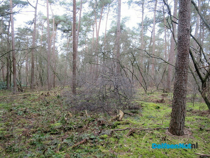 Het Sterrenbos en omgeving, meest gevarieerde natuur - Foto: Wim