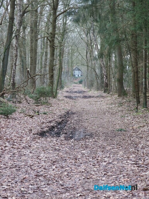Het Sterrenbos en omgeving, meest gevarieerde natuur - Foto: Wim