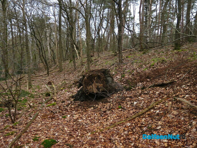 Het Sterrenbos en omgeving, meest gevarieerde natuur - Foto: Wim