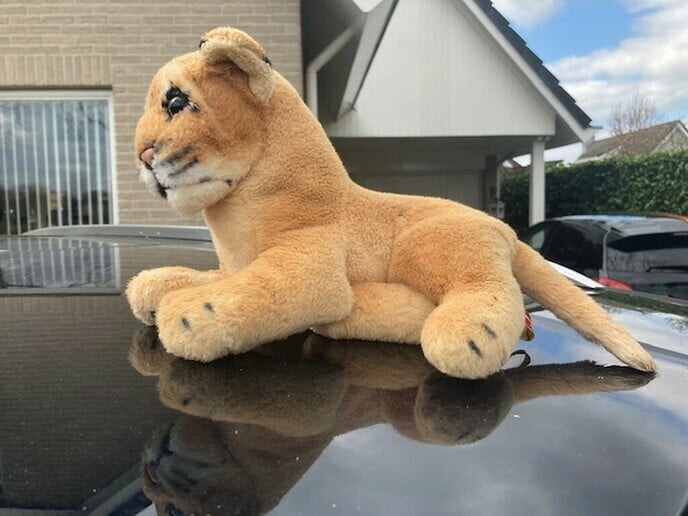 Mooie knuffel gevonden en weer op de plek - Foto: Ingezonden foto