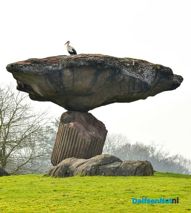 Bezoeker op de steen - Foto: Ingezonden foto