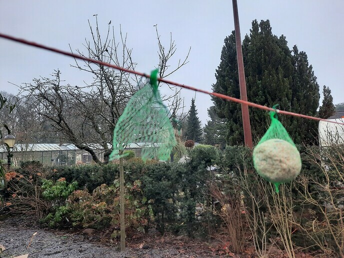 Meezeballn - Foto: Gruune Jopie