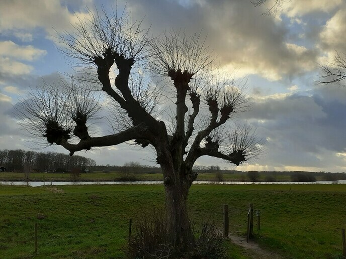 Zomaar wat plaatjes van het mooie Dalfsen - Foto: Ingezonden foto