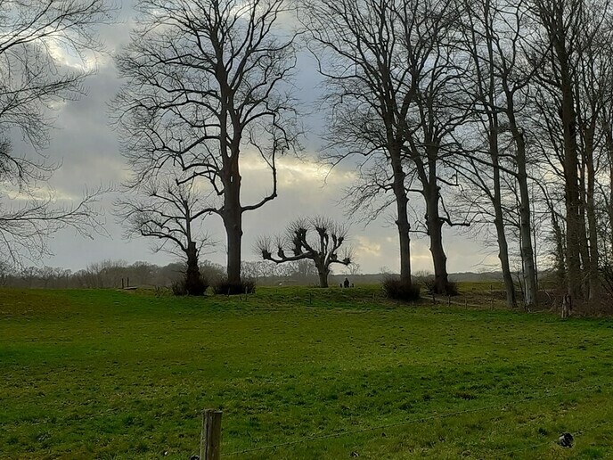 Zomaar wat plaatjes van het mooie Dalfsen - Foto: Ingezonden foto