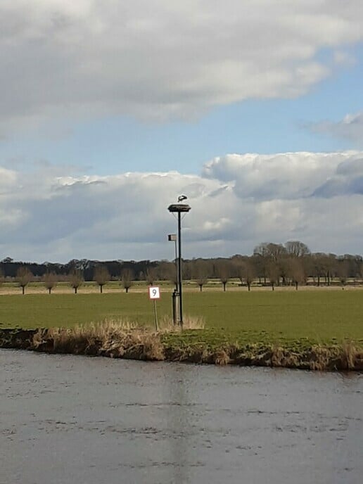 Weer een paar mooie plaatjes van Dalfsen en omgeving - Foto: Ingezonden foto