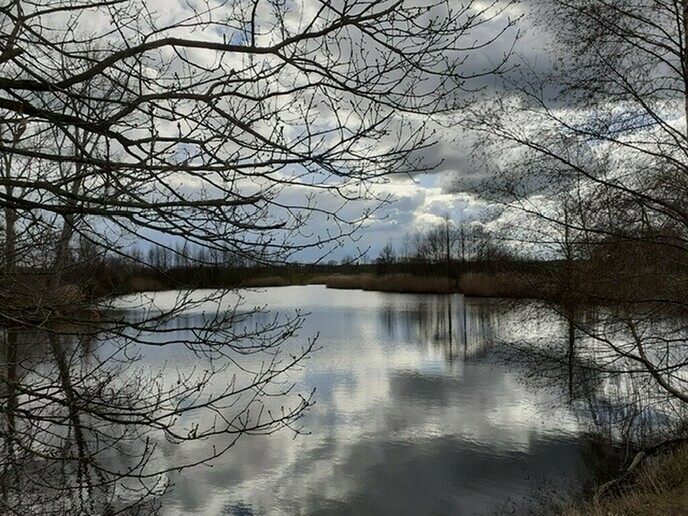 Weer een paar mooie plaatjes van Dalfsen en omgeving - Foto: Ingezonden foto