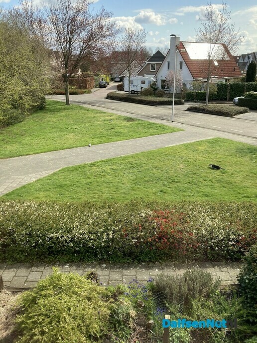 Vervangende dienstplicht Hondenpoep - Foto: Ingezonden foto