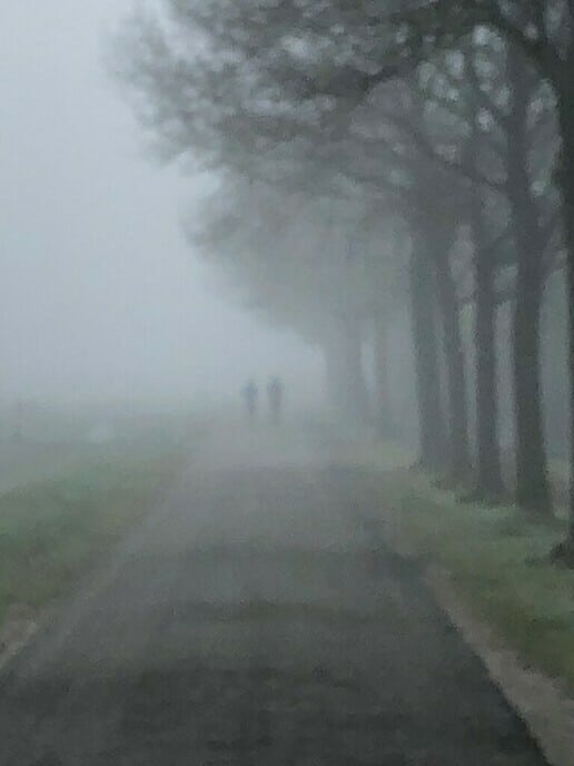 Langs de Vecht, kleine wereld vanmorgen - Foto: Ingezonden foto