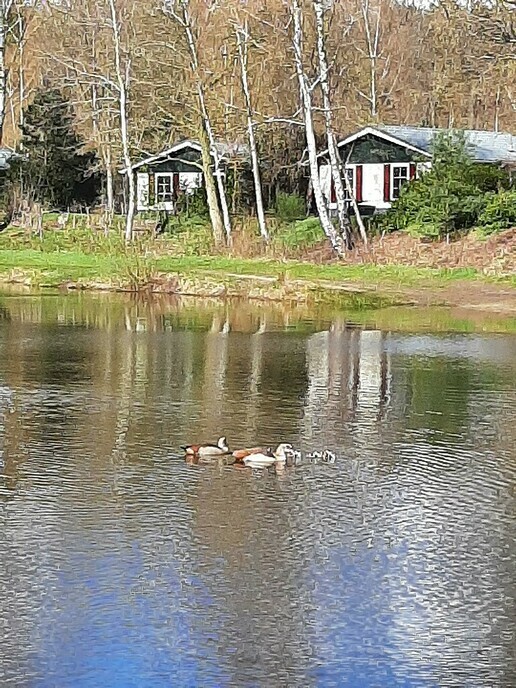Voorjaar - Foto: Ingezonden foto