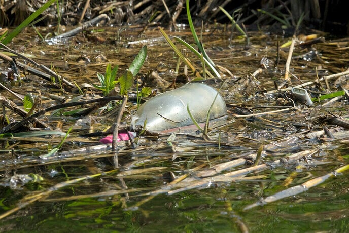 Ook Vechtzomp doet mee aan project “Schone rivieren” - Foto: Geert Bistervels