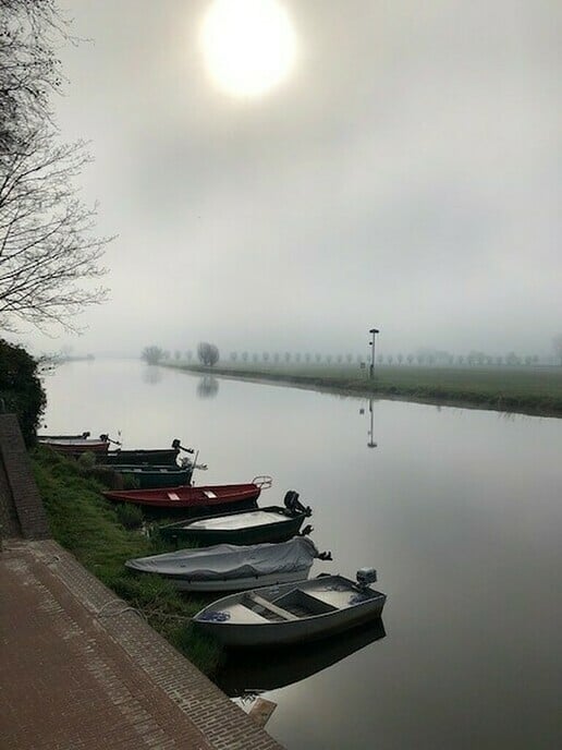 Langs de Vecht, kleine wereld vanmorgen - Foto: Ingezonden foto