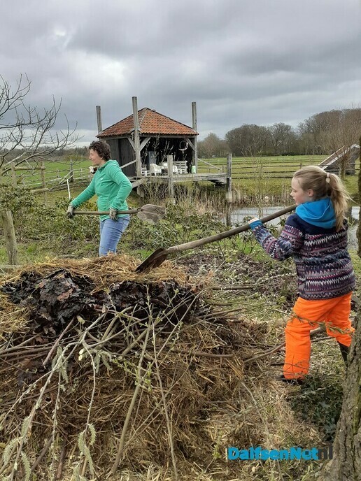 Help de ringslang: maak een broeihoop! - Foto: Ingezonden foto