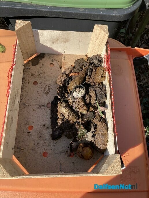 Vervangende dienstplicht Hondenpoep - Foto: Ingezonden foto
