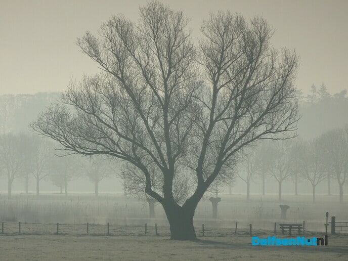 Heerlijk lenteweer - Foto: Ingezonden foto
