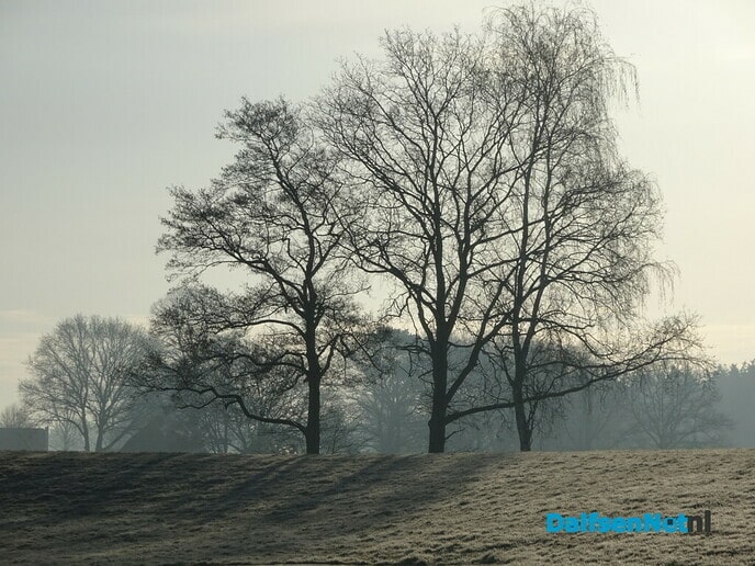 Heerlijk lenteweer - Foto: Ingezonden foto