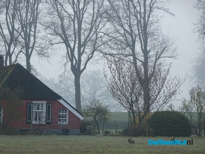 Rondje hondje pontje - Foto: Ingezonden foto