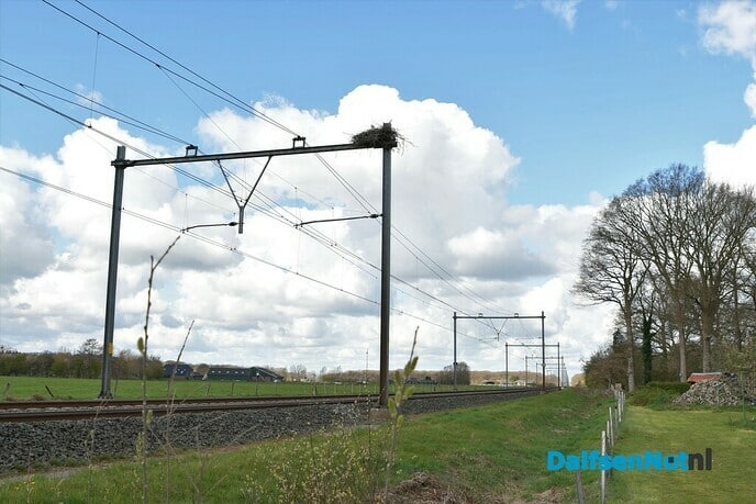 Henk Lindeboom is blij met één ooievaars ei - Foto: Johan Bokma