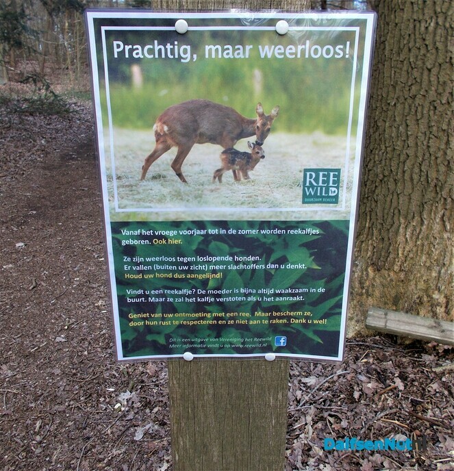 Posters denk aan de reekalfjes