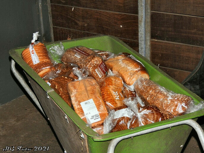 Bezoekje kijk en doe dag olde manege peerd