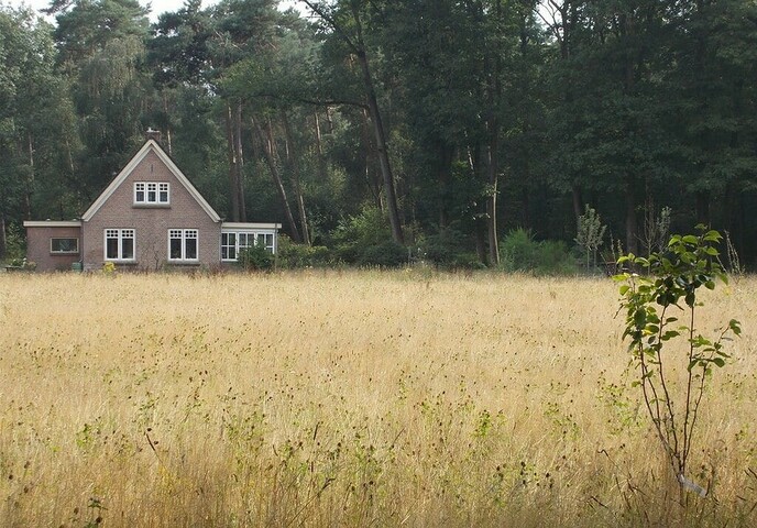 Hoe goed zijn voedselbossen voor de bodem?