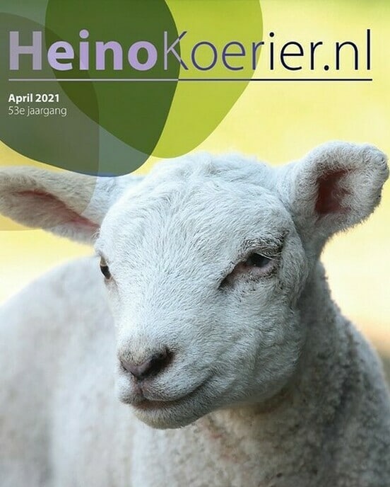 De nieuwste Heino Koerier is weer uit - Foto: Eigen geleverde foto