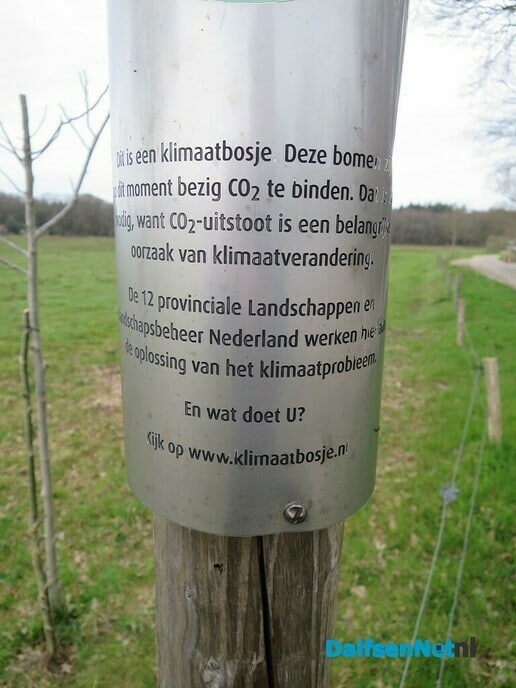 Klimaatbos van slechts 3 boompjes - Foto: Wim