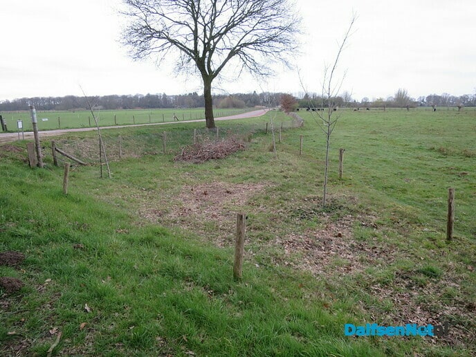 Klimaatbos van slechts 3 boompjes - Foto: Wim