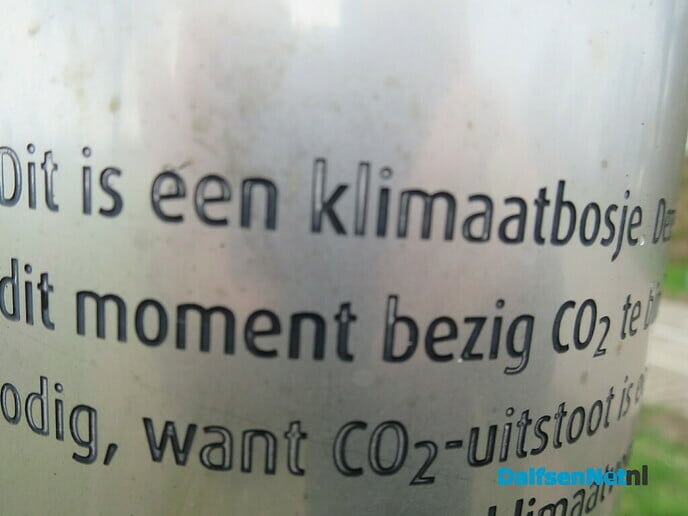 Klimaatbos van slechts 3 boompjes - Foto: Wim