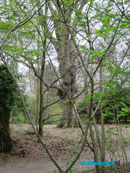 Landgoed Boschwijk (fragmenten uit Zwolle in beeld) - Foto: Wim
