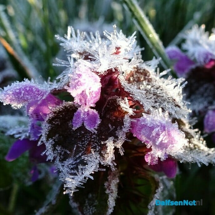 Heerlijk lenteweer - Foto: Ingezonden foto
